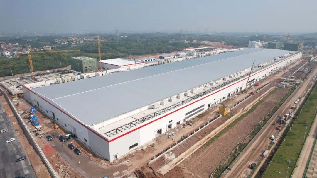 Celebrated the successful pro6